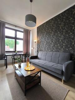 Loft House Ostróda - Comfort - 4