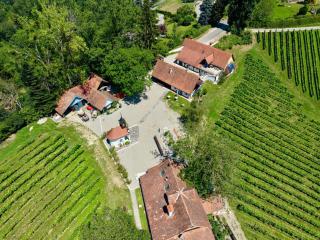 Wohnen am Weinberg vormals Weingut Kofler - 9