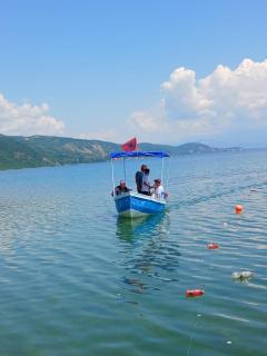 ROLEO Guest House - 9