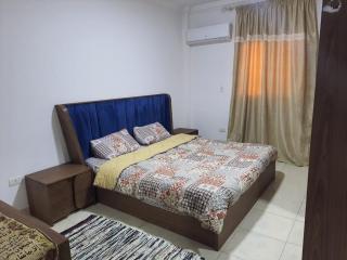 Secure and Chic Apt 15 min to Airport and New Cairo - 4