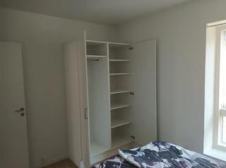 Cozy Apartment 15 min to Center and Airport - 4