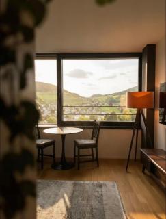 Business Apartment Baden Central Station - 6