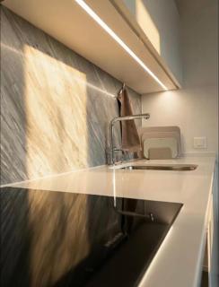 Business Apartment Baden Central Station - 3