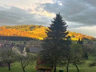Abertshof - 0