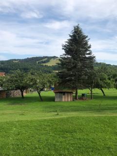 FeWo Abertshof - 5