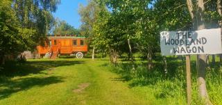 The Loft Glamping & Camping - 3