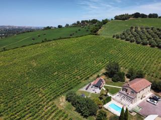 Tenuta Marino - Piscina e Tramonti Unici tra i vigneti - 9
