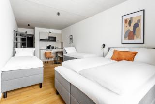 Global Living Passau Ludwigplatz - 5