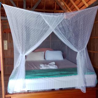 Shark Homestay rajaampat - 9