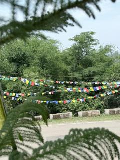 Mount View - 5