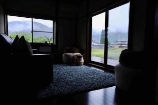 Little Blue House - 5