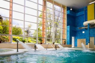 Spa Hotel Garni Löwenstein - Konstantinovy Lázně - 8