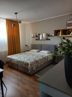 Apartman Zlata - 8