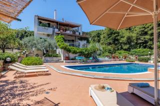 Nature Grand Estate - Spacious Villa with Pool - 3