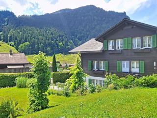 Apartment Schwendihus by Interhome - 5