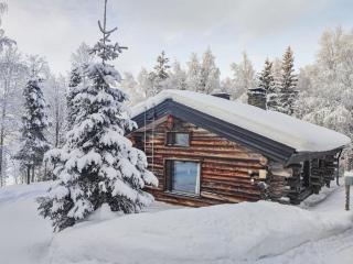 Holiday Home Hallan kelo by Interhome - 5