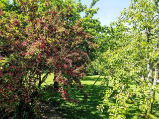 Holiday Home Charmante normannische Ferienwohnung les chataigniers 3 Zimmer by Interhome - 8