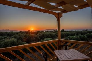 Olive Sun Suites - 5