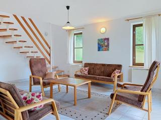 Holiday Home Green Valley Park Stárkov 16 by Interhome - 9
