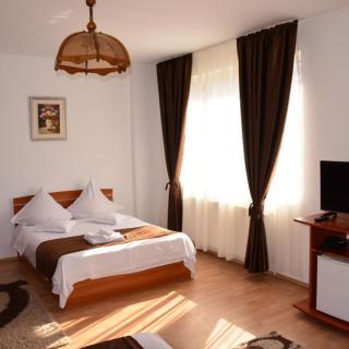 Hotel Delaf - Cluj-Napoca - 9