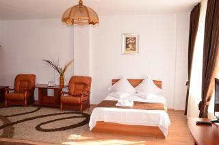 Hotel Delaf - Cluj-Napoca - 7