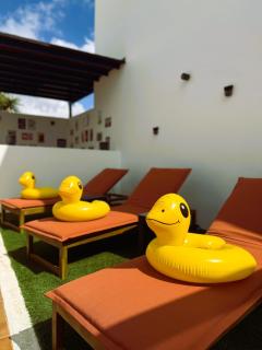 Casa De Pato - 7