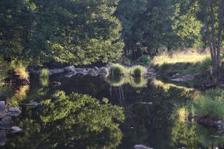 le relais des jonquilles - 6
