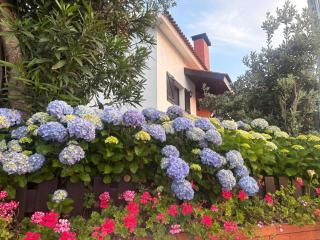 Moledo Seaview - 7