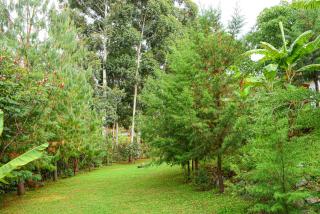 Larry Homestay - 8