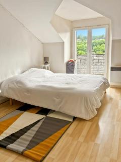 Appartement lumineux sous les toits -vue rivière - 7