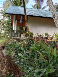Rainforest Nature Resort - Sinharaja - 3