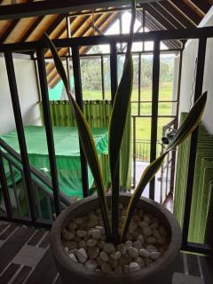 Rainforest Nature Resort - Sinharaja - 2