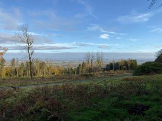The Boyne Arms Cottage - 3