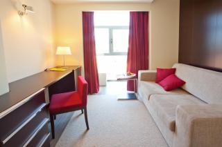 Hotel Sao Pedro - Arouca - 5