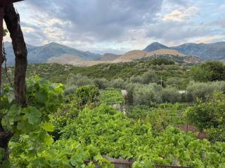 The Hidden Orchard near Saranda - 5