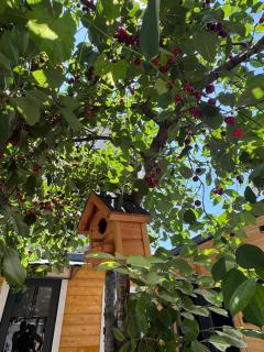 Dream House - 1