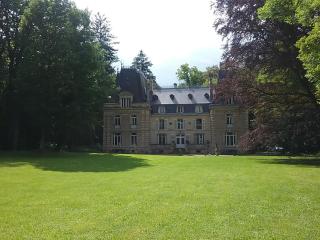 Chateau de la Raffe - Naix-aux-Forges - 5