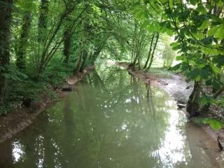 Chateau de la Raffe - 2