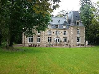 Chateau de la Raffe - Naix-aux-Forges - 1