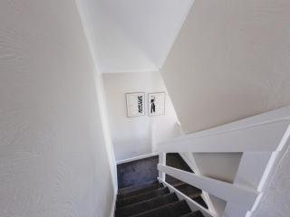 The Cosy Plover - 1