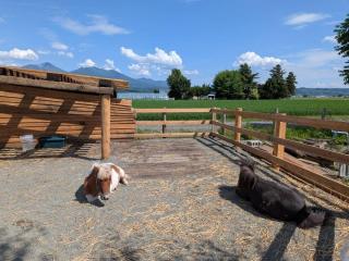 HORSE STAY LODGE kamifurano 山々と馬を眺めて過ごす新築一棟貸ホースステイロッジ - 4
