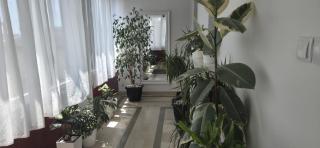 Apartman Linda 1 - 0