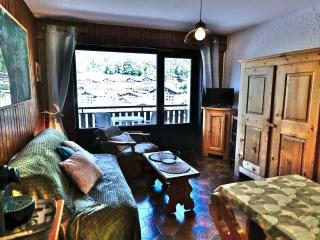 Studio cosy ski aux pieds avec balcon, garage, et 300m des commerces (4 pers, 27m²) - FR-1-458-105 - 5