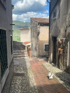 Casa Venusia - 6