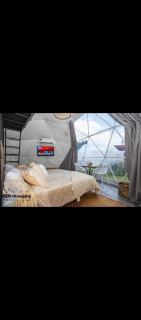 Eco Glamping Manglaralto - 0