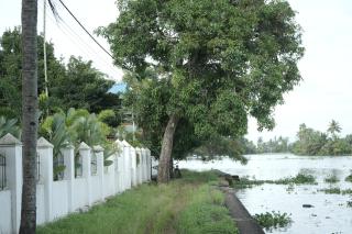 VJ Riverfront Villa - 7