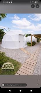 Eco Glamping Manglaralto - 2