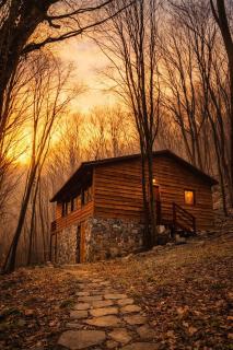 Cabana Manea Forest Hub - 1