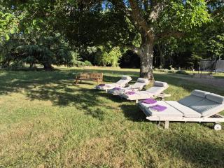 Château de la Motte Jarry - 1