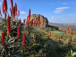 Katkop Resort - 7